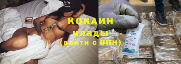 дживик Алзамай
