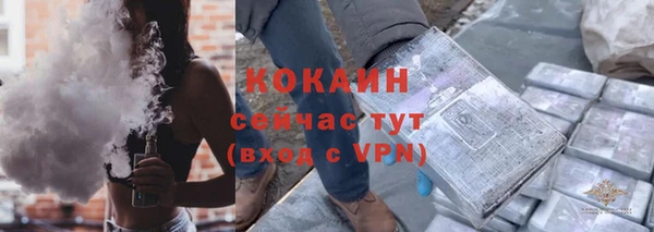 дживик Алзамай