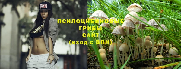 амфетамин Алексеевка