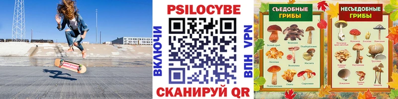 купить  сайты  Заозёрск  ОМГ ОМГ ССЫЛКА  Галлюциногенные грибы Psilocybine cubensis 